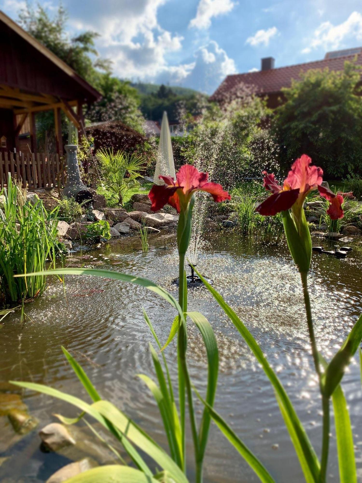 Ferienwohnung-Willgeroth อิลเซินบวร์ก ภายนอก รูปภาพ