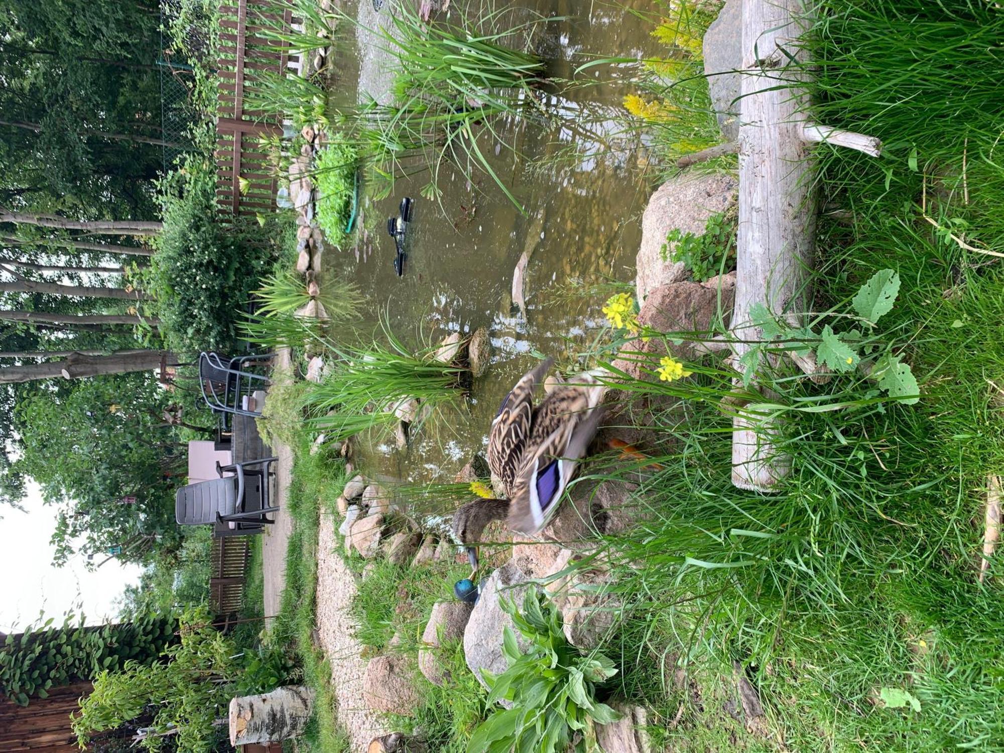 Ferienwohnung-Willgeroth อิลเซินบวร์ก ภายนอก รูปภาพ